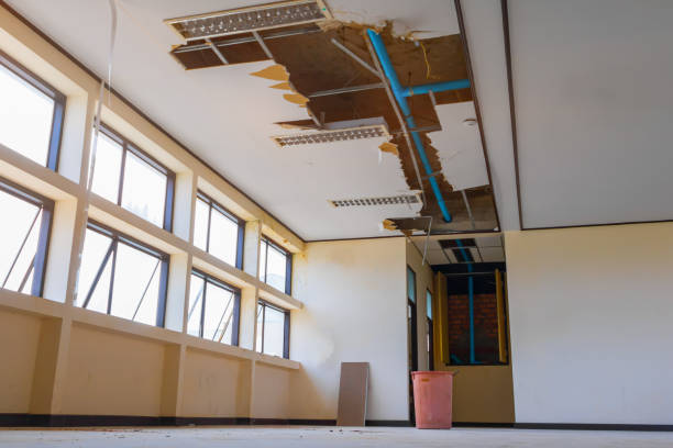 Best 24-hour water damage restoration  in Orlando, FL