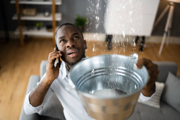 Best Water damage cleanup near me  in Orlando, FL