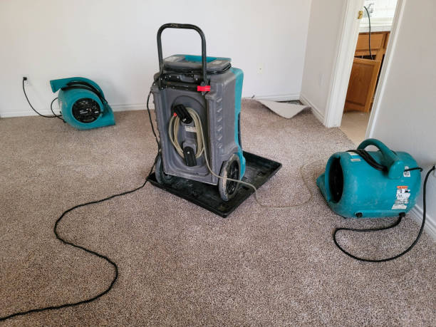 Best Carpet water damage restoration  in Orlando, FL