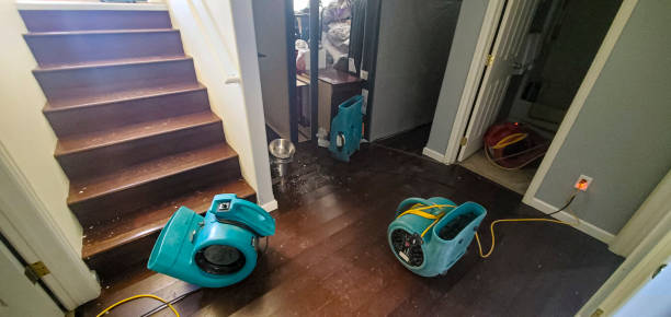 Best Carpet water damage restoration  in Orlando, FL