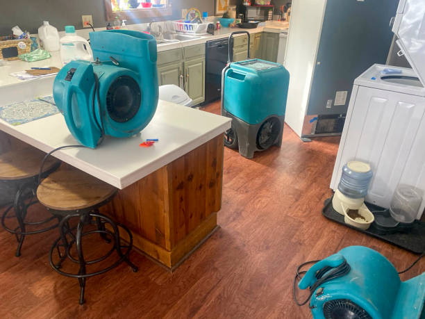Trusted Orlando, FL Water damage restoration Experts