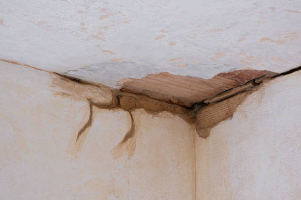 Best Sewage cleanup and water damage restoration  in Orlando, FL