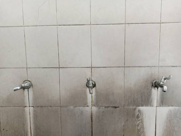 Best Water damage restoration near me  in Orlando, FL