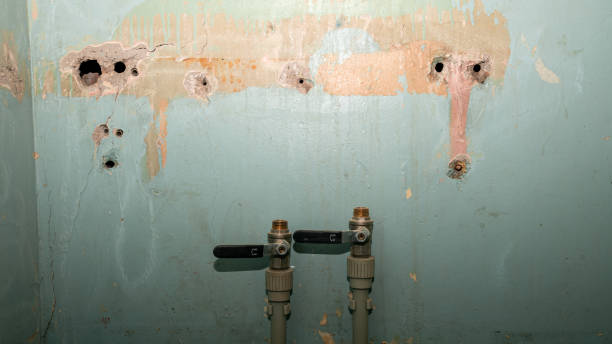 Best Fire Damage Restoration  in Orlando, FL