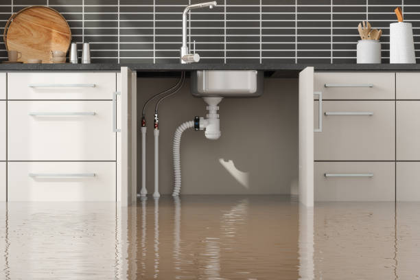 Best Water damage restoration near me  in Orlando, FL