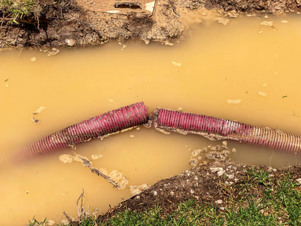 Best Water damage restoration near me  in Orlando, FL