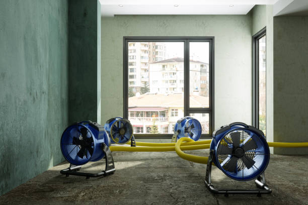 Carpet water damage restoration in Orlando, FL